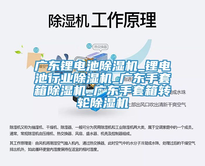 廣東鋰電池除濕機_鋰電池行業(yè)除濕機_廣東手套箱除濕機_廣東手套箱轉輪除濕機