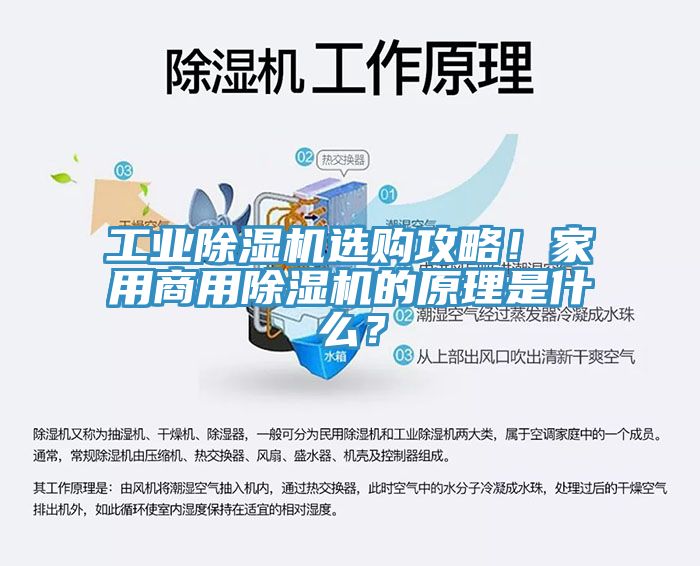 工業除濕機選購攻略！家用商用除濕機的原理是什么？