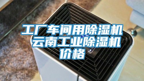 工廠車間用除濕機 云南工業除濕機價格