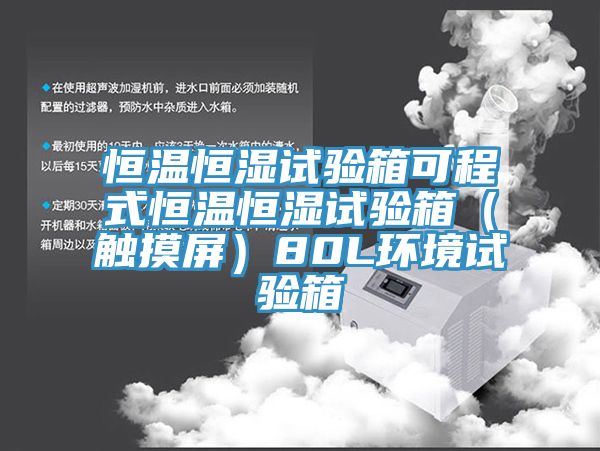 恒溫恒濕試驗箱可程式恒溫恒濕試驗箱（觸摸屏）80L環境試驗箱