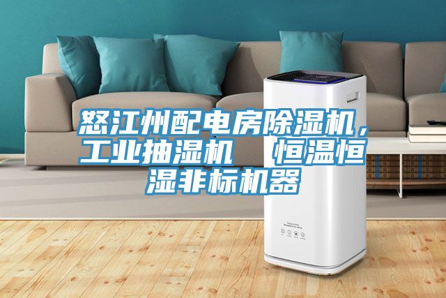 怒江州配電房除濕機，工業抽濕機  恒溫恒濕非標機器