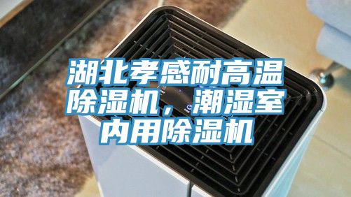 湖北孝感耐高溫除濕機，潮濕室內用除濕機