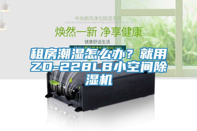 租房潮濕怎么辦？就用ZD-228LB小空間除濕機