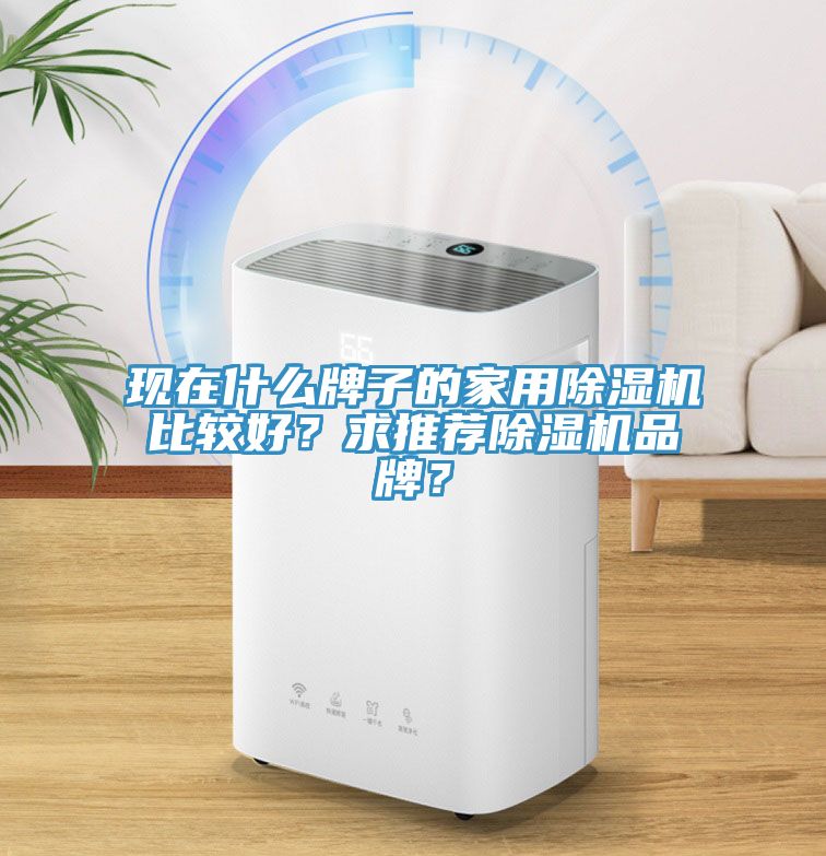 現(xiàn)在什么牌子的家用除濕機比較好？求推薦除濕機品牌？