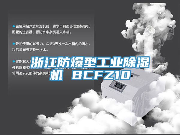 浙江防爆型工業除濕機 BCFZ10