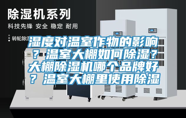 濕度對溫室作物的影響？溫室大棚如何除濕？大棚除濕機哪個品牌好？溫室大棚里使用除濕