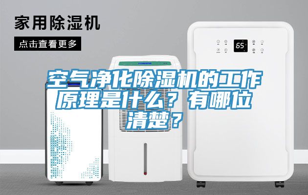 空氣凈化除濕機的工作原理是什么？有哪位清楚？