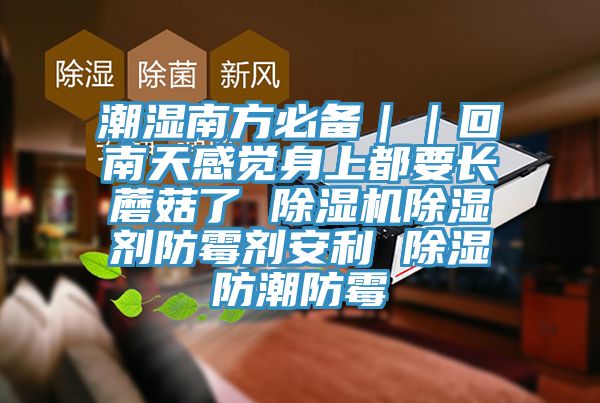 潮濕南方必備｜｜回南天感覺身上都要長蘑菇了 除濕機除濕劑防霉劑安利 除濕防潮防霉