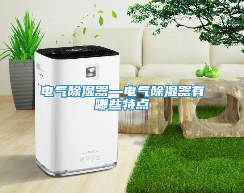 電氣除濕器—電氣除濕器有哪些特點