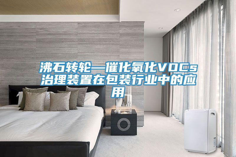 沸石轉輪—催化氧化VOCs治理裝置在包裝行業中的應用