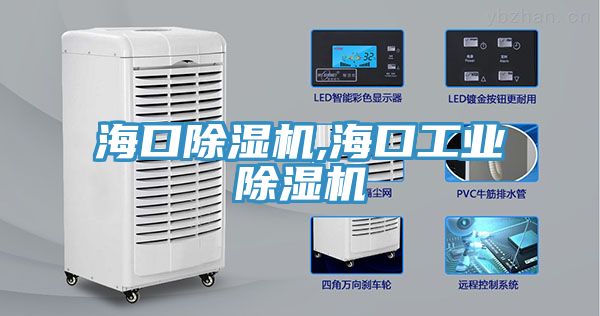 海口除濕機(jī),海口工業(yè)除濕機(jī)