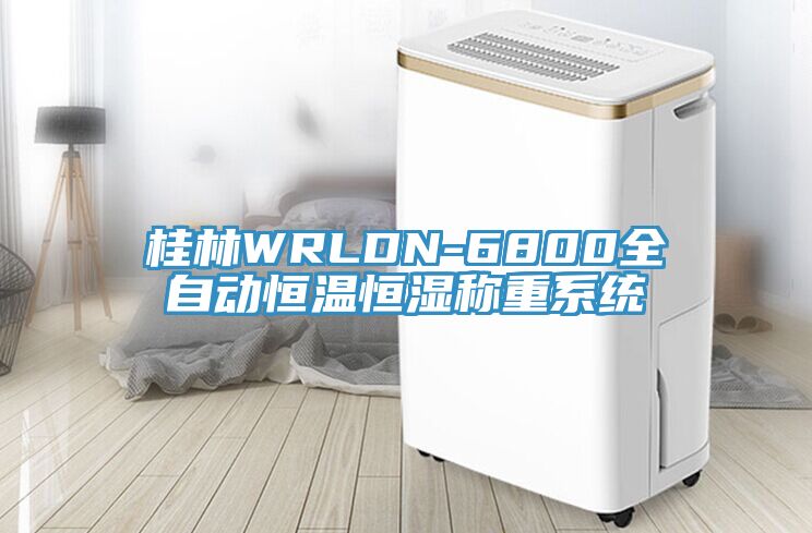 桂林WRLDN-6800全自動恒溫恒濕稱重系統