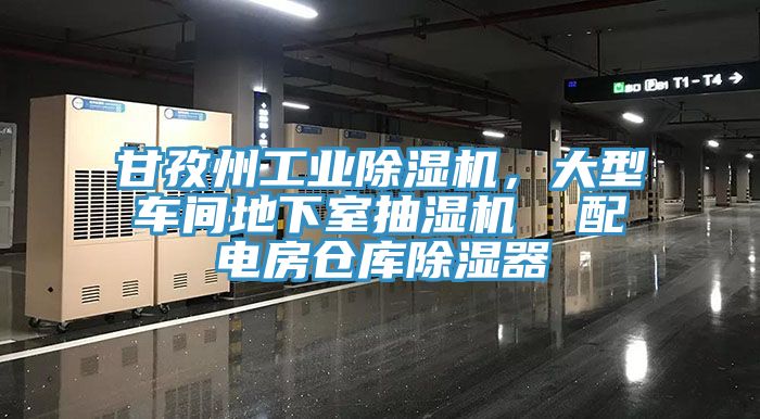 甘孜州工業除濕機，大型車間地下室抽濕機  配電房倉庫除濕器