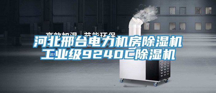 河北邢臺電力機房除濕機工業級9240C除濕機