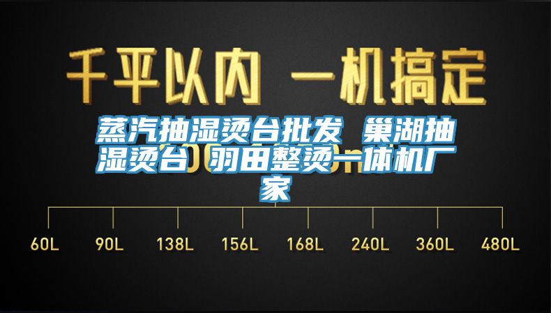 蒸汽抽濕燙臺批發 巢湖抽濕燙臺 羽田整燙一體機廠家