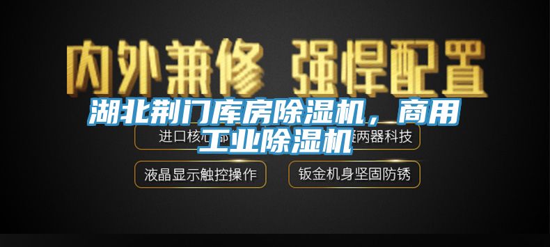 湖北荊門庫房除濕機，商用工業除濕機