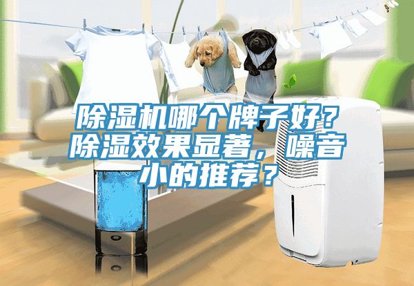 除濕機哪個牌子好？除濕效果顯著，噪音小的推薦？