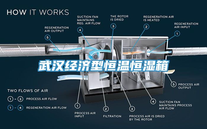 武漢經濟型恒溫恒濕箱