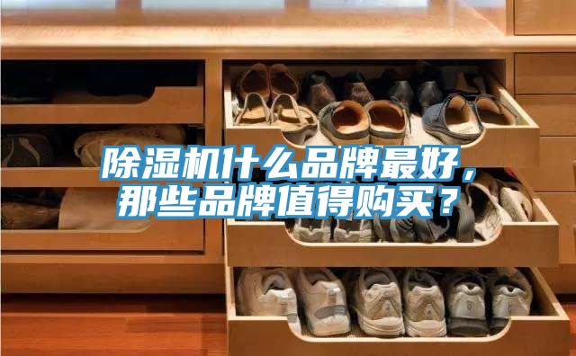 除濕機什么品牌最好，那些品牌值得購買？