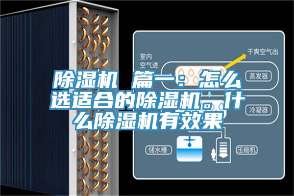 除濕機 篇一：怎么選適合的除濕機。什么除濕機有效果