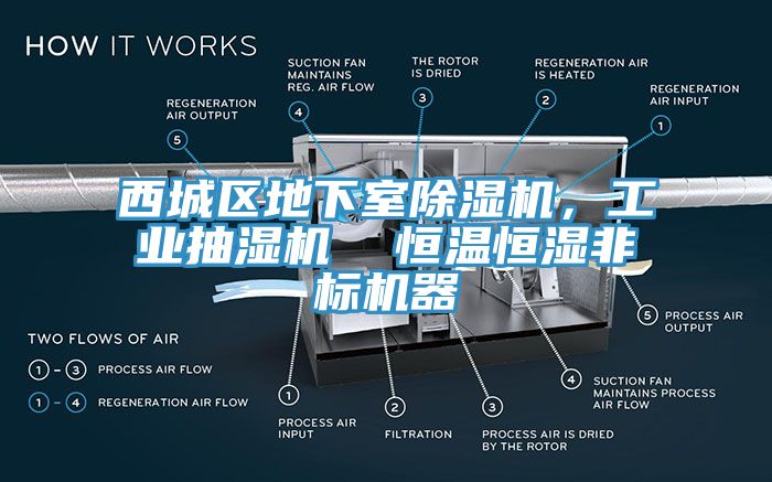 西城區地下室除濕機，工業抽濕機  恒溫恒濕非標機器