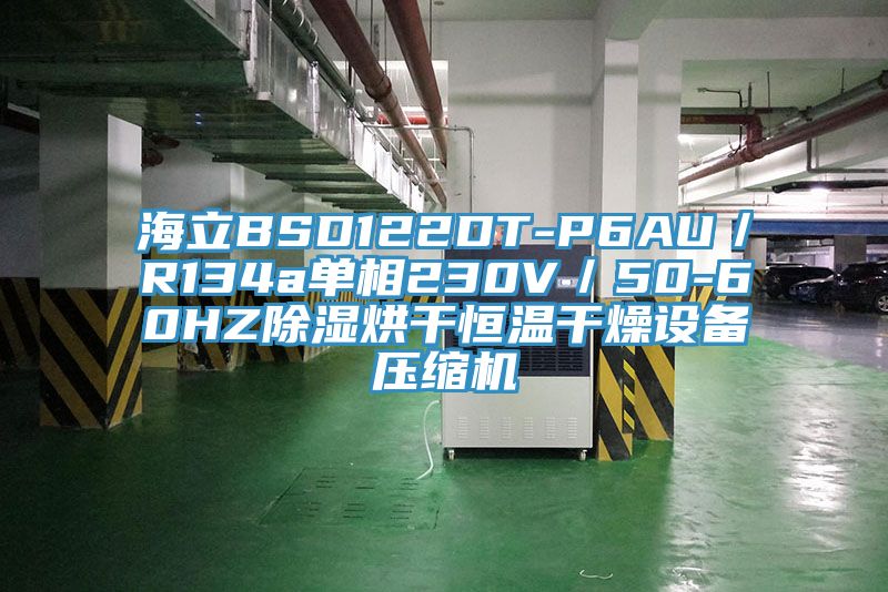 海立BSD122DT-P6AU／R134a單相230V／50-60HZ除濕烘干恒溫干燥設備壓縮機