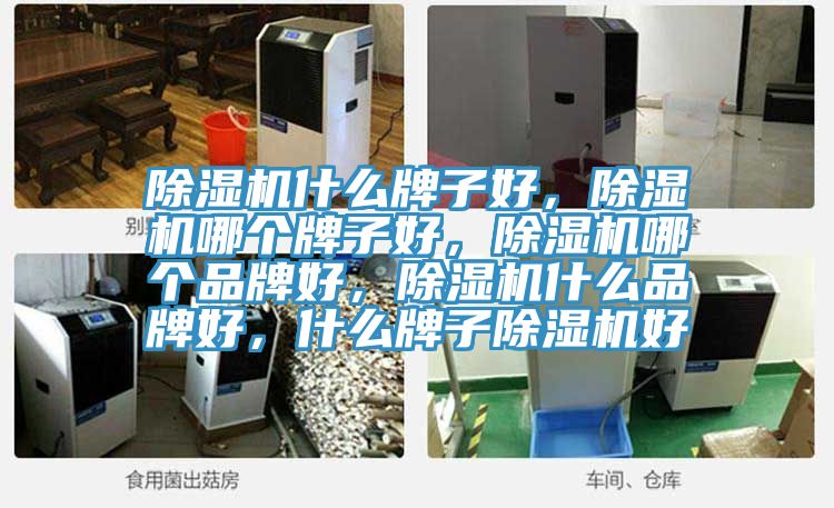 除濕機什么牌子好，除濕機哪個牌子好，除濕機哪個品牌好，除濕機什么品牌好，什么牌子除濕機好