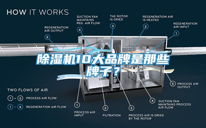 除濕機10大品牌是那些牌子？