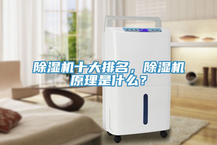 除濕機十大排名，除濕機原理是什么？