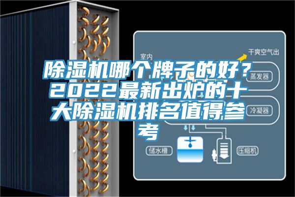 除濕機哪個牌子的好？2022最新出爐的十大除濕機排名值得參考