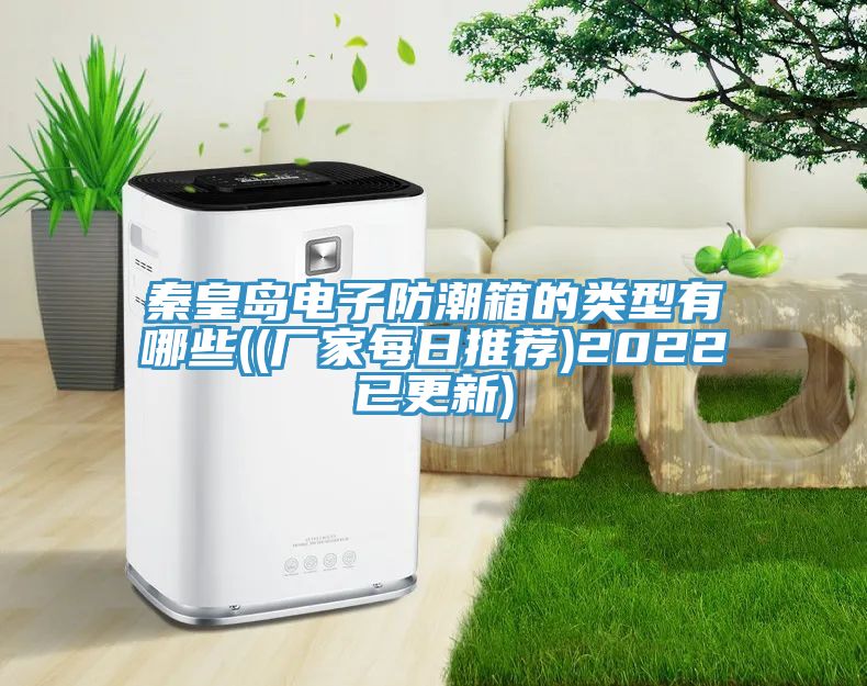 秦皇島電子防潮箱的類型有哪些((廠家每日推薦)2022已更新)