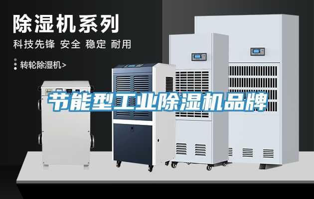 節能型工業除濕機品牌