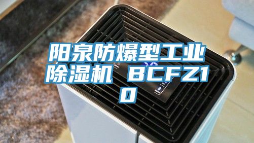 陽泉防爆型工業除濕機 BCFZ10