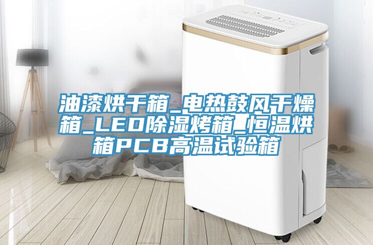 油漆烘干箱_電熱鼓風干燥箱_LED除濕烤箱_恒溫烘箱PCB高溫試驗箱