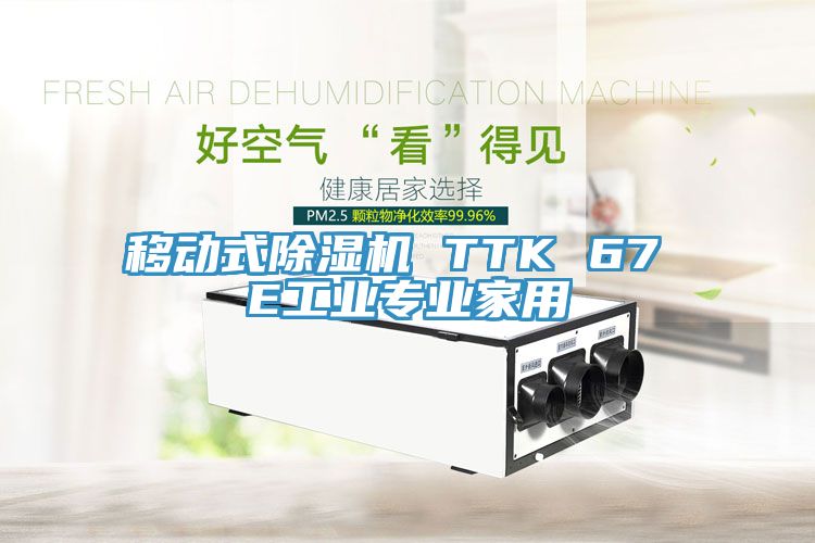 移動式除濕機 TTK 67 E工業專業家用