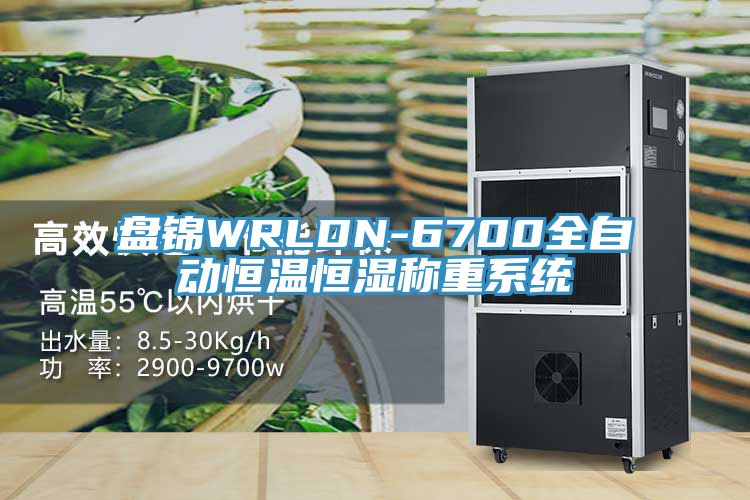 盤錦WRLDN-6700全自動恒溫恒濕稱重系統