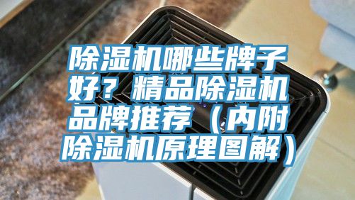 除濕機哪些牌子好？精品除濕機品牌推薦（內(nèi)附除濕機原理圖解）