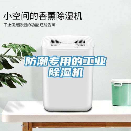 防潮專用的工業除濕機