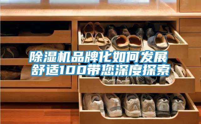 除濕機品牌化如何發展　　舒適100帶您深度探索