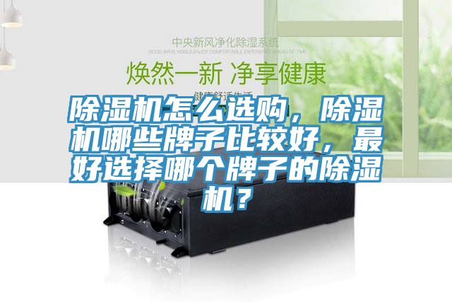 除濕機怎么選購，除濕機哪些牌子比較好，最好選擇哪個牌子的除濕機？