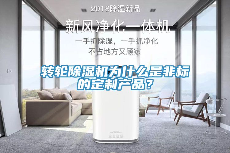 轉輪除濕機為什么是非標的定制產品？