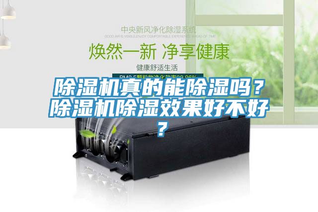 除濕機真的能除濕嗎？除濕機除濕效果好不好？