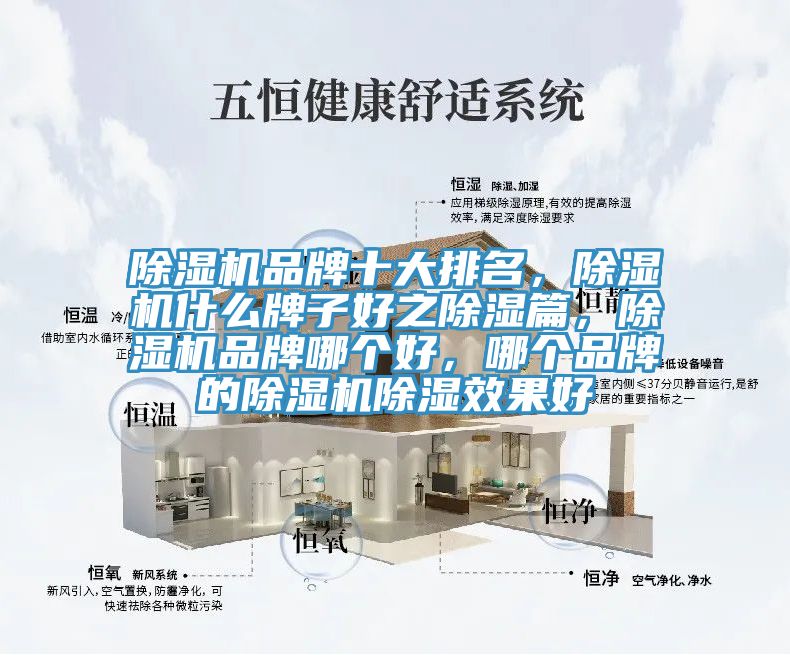 除濕機(jī)品牌十大排名，除濕機(jī)什么牌子好之除濕篇，除濕機(jī)品牌哪個好，哪個品牌的除濕機(jī)除濕效果好