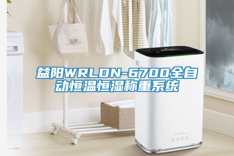 益陽WRLDN-6700全自動恒溫恒濕稱重系統