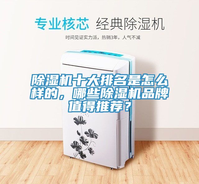 除濕機十大排名是怎么樣的，哪些除濕機品牌值得推薦？