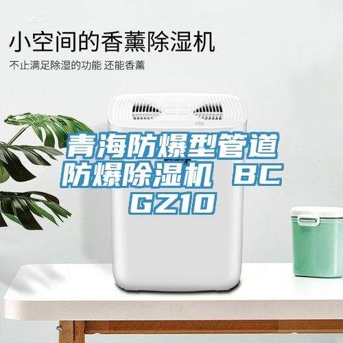 青海防爆型管道防爆除濕機 BCGZ10