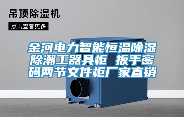 金河電力智能恒溫除濕除潮工器具柜 扳手密碼兩節文件柜廠家直銷