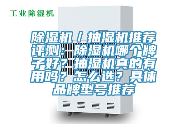 除濕機／抽濕機推薦評測：除濕機哪個牌子好？抽濕機真的有用嗎？怎么選？具體品牌型號推薦