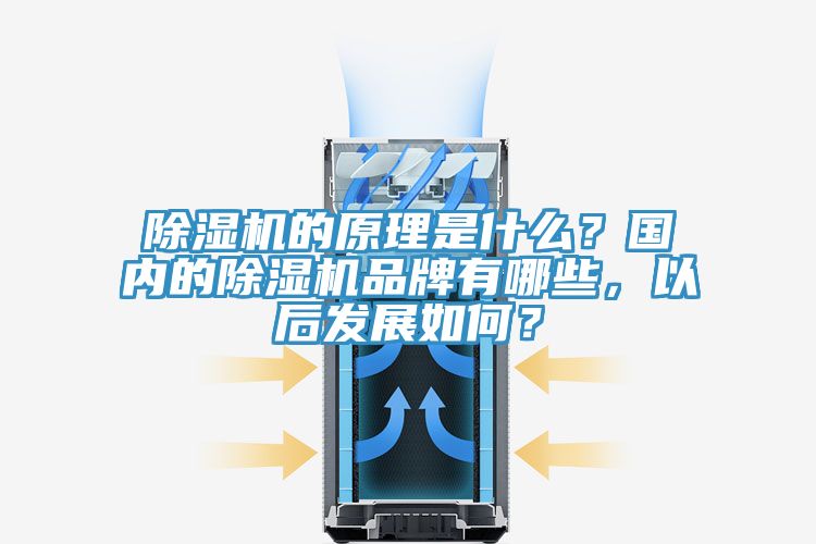 除濕機的原理是什么？國內的除濕機品牌有哪些，以后發展如何？