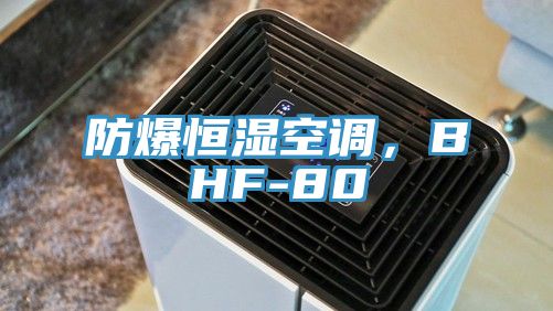 防爆恒濕空調，BHF-80